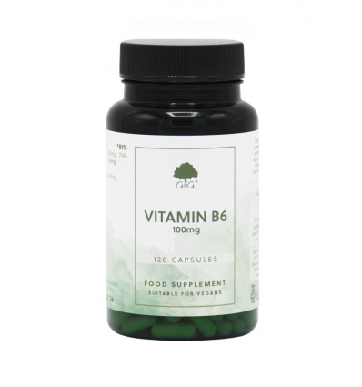 Vitamin B6 Pyridoxine 100mg - 100 Trufil™ Vegetarian Capsules - G & G
