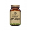 Bilberry Berry Extract with Blueberry Vegetable Capsules - Pack of 60 - Solgar