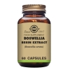 Boswellia Resin Extract - 60 Capsules - Solgar