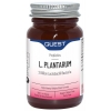 L. Plantarum - 90 Capsules - Quest