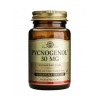 Pycnogenol® 30 mg - Solgar