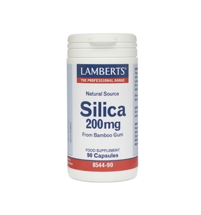 Silica - 90 Capsules - Lamberts