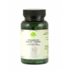 Vitamin B3 Niacin 100mg - 100 Trufil™ Vegetarian Capsules - G & G
