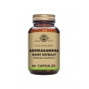 Ashwagandha Root Extract Vegetable Capsules - Pack of 60