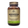 Boswellia Resin Extract - 60 Capsules - Solgar