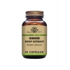 Ginger Root Extract Vegetable Capsules - Pack of 60