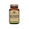 Saw Palmetto Berry Extract Vegetable Capsules - Pack of 60 - Solgar