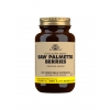 Saw Palmetto Berries - 100 Vegetable Capsules - Solgar