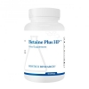 Betaine Plus HP™ - 90 Capsules - Biotics® Research